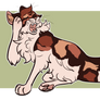 Cat adoptable (Closed)