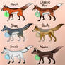 Many Much Foxen - Adopt Batch - 5/6 OPEN