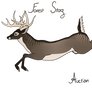 Forest Stag - Auction - OPEN