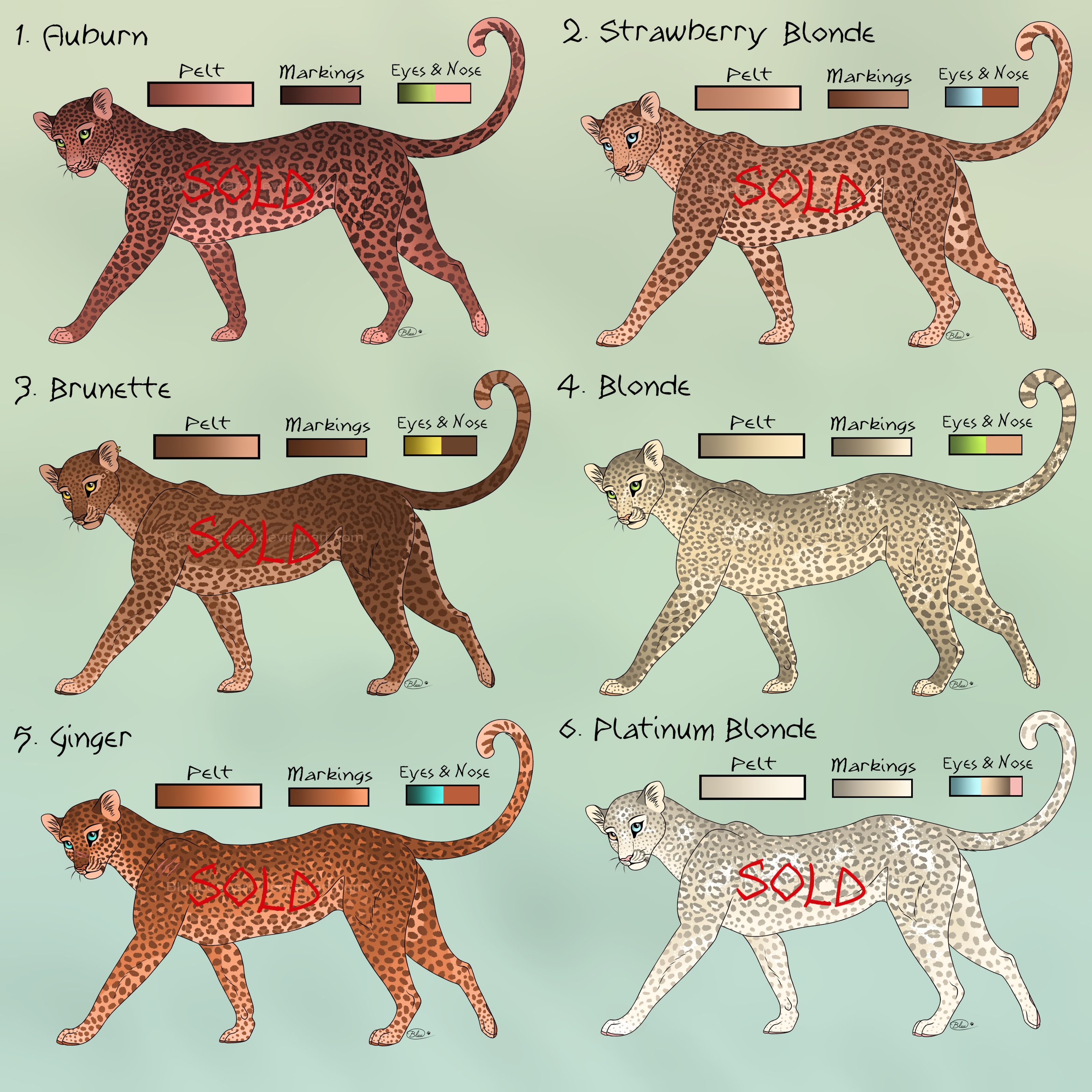 Wild Leopards - 1 / 6 OPEN!