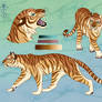 Tawny Tiger - Auction ( CLOSED )