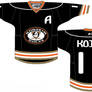 Anaheim Ducks Concept Jersey