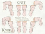 Knee 1 - Rotation by jasonwangart