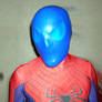 SpiderMan swimcap 06