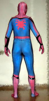 MCU Civil War Homecoming Spider-man costume (back)