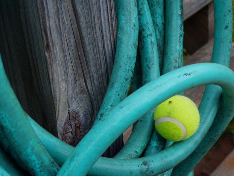 Tennis Ball I