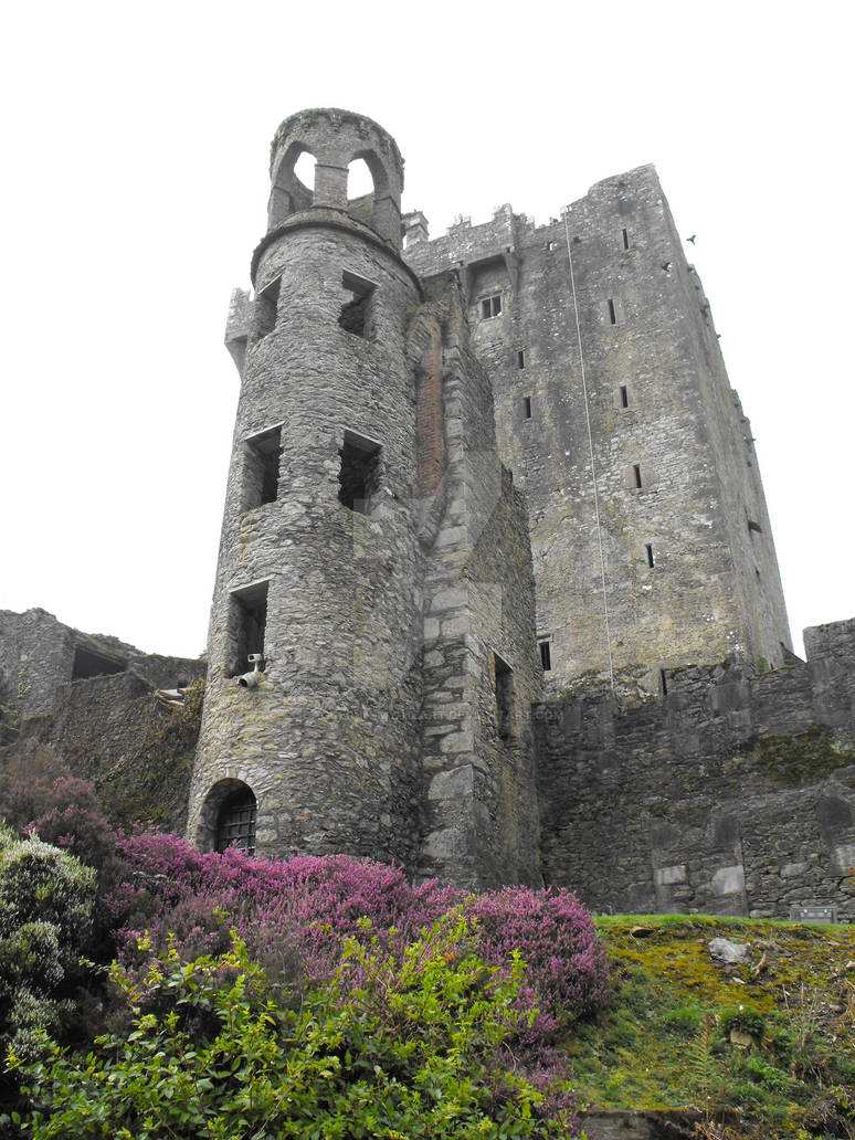 Blarney Castle: non-edited