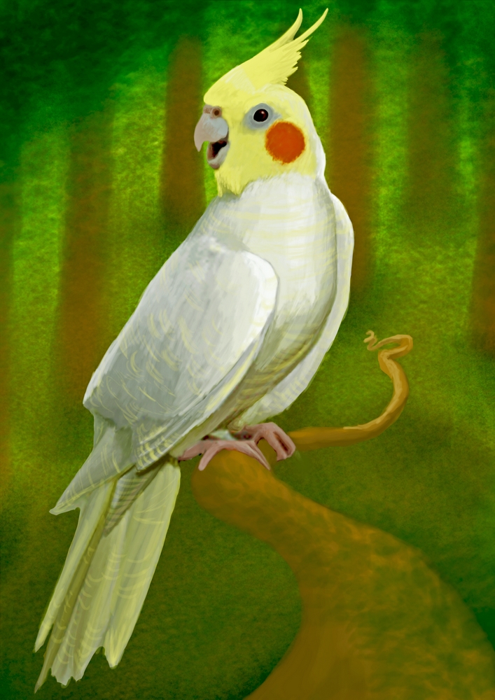 Happy Cockatiel