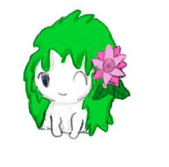 Shaymin C: