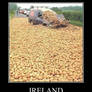Ireland demotivational