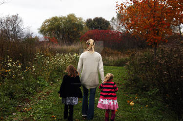 Fall Stroll