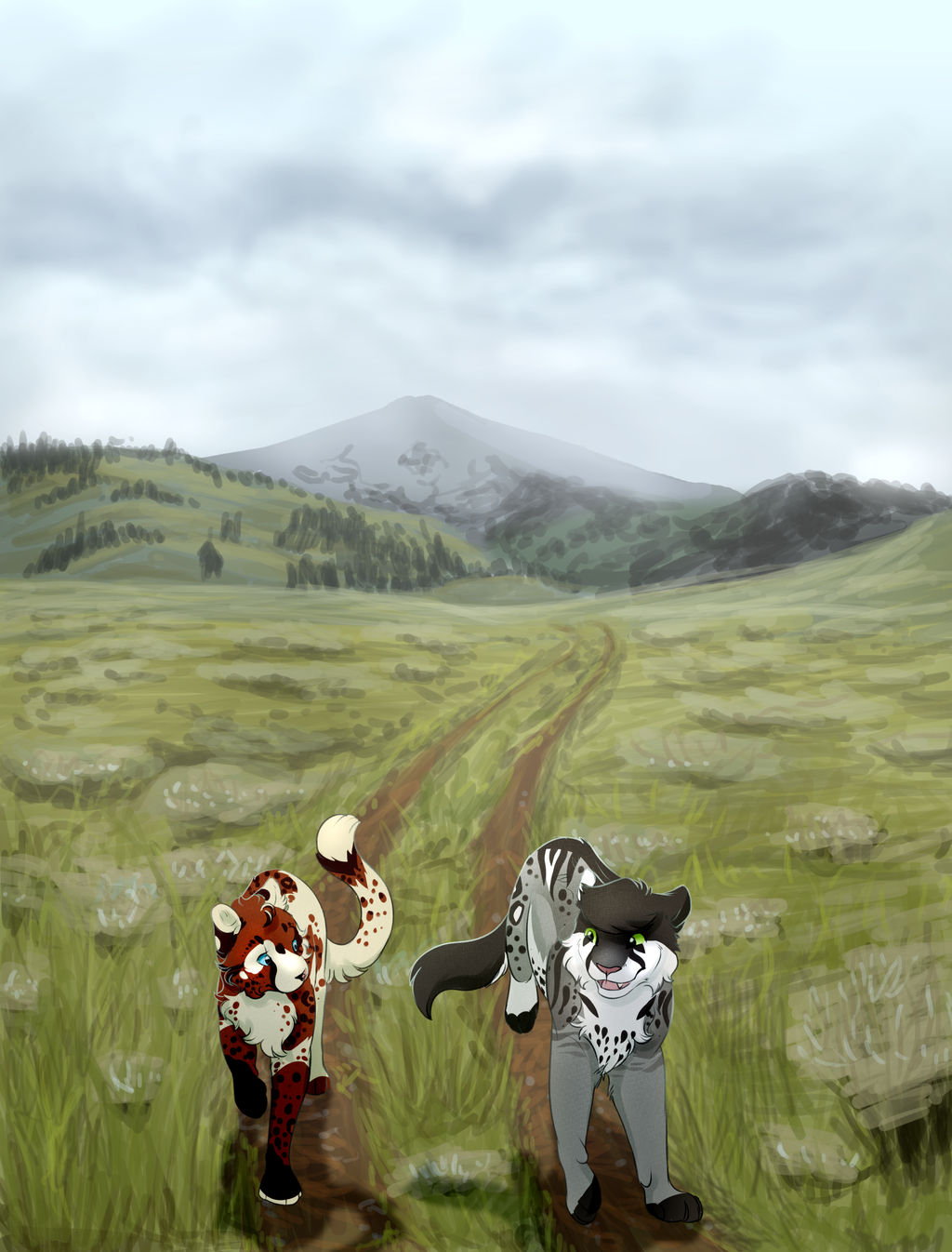 Velella spring 23 AC - Road to raids - Collab