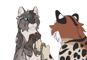 Friendship Bracelets