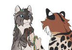 Friendship Bracelets