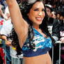 Melina perez wrestling outfit #5