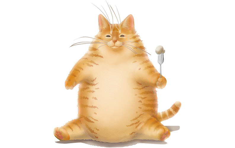 Red-Fat-Cat overcover on DeviantArt
