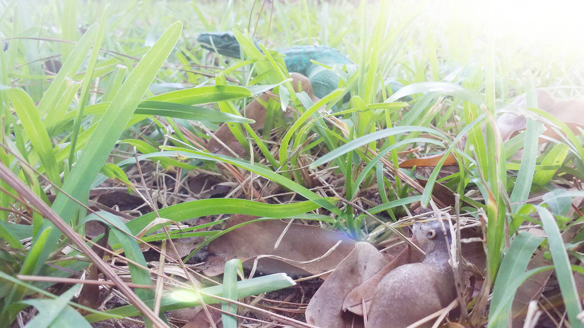 Predator Alert by Mutosaurus78 on DeviantArt