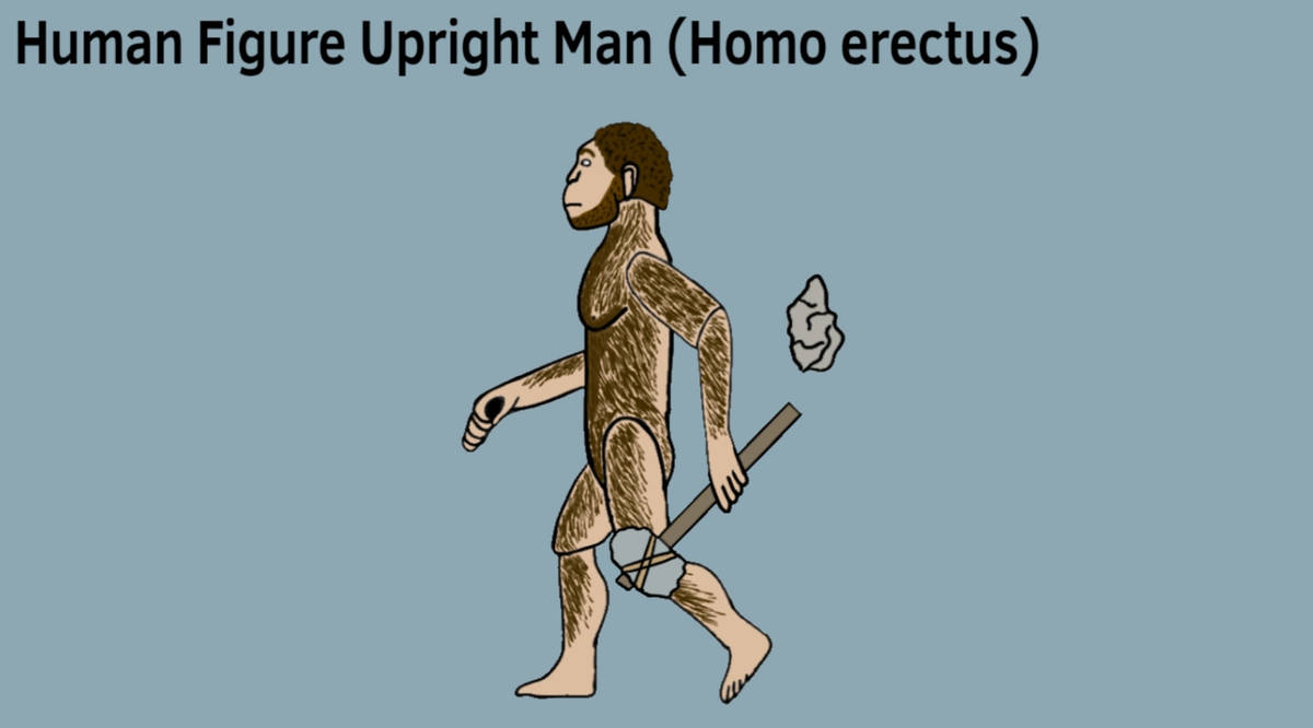 Human Figure Upright Man by Mutosaurus78 on DeviantArt