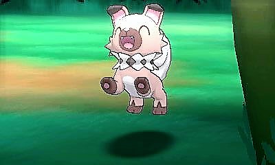 Happy Rockruff!