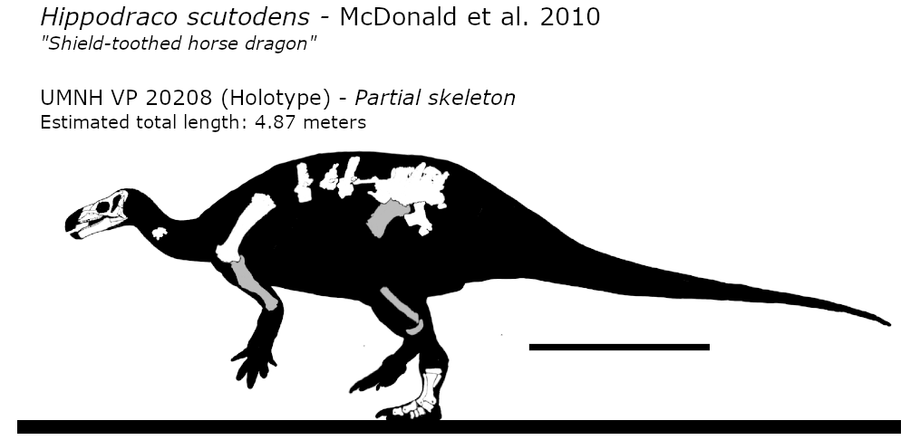 Deinosuchus hatcheri multiview skeletal by Fadeno on DeviantArt