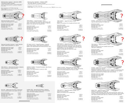 The Terrible Crocodiles - Deinosuchus skulls