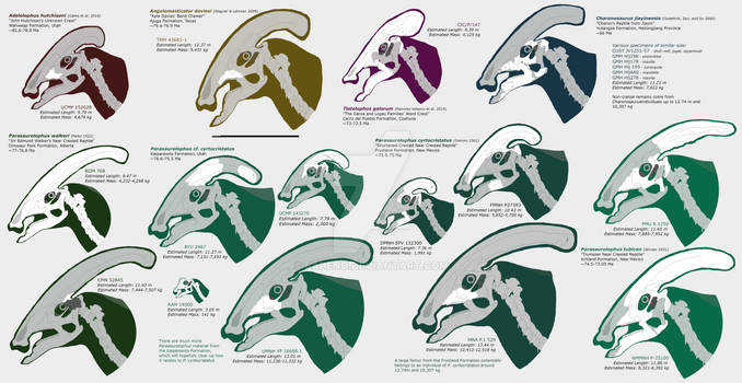 Parasaurolophini skulls