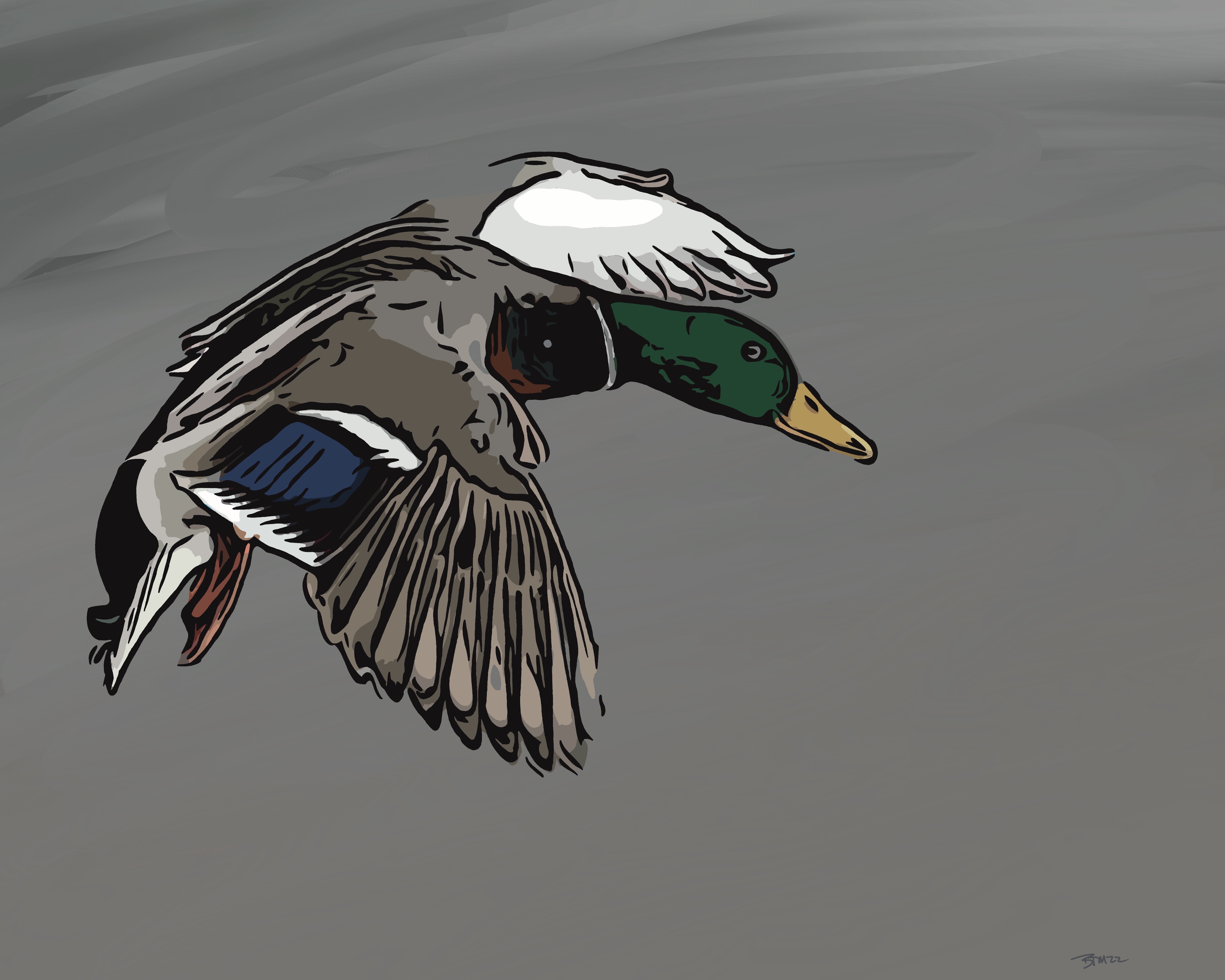 Duck Riding Deviantart Duck 1 by SPECIES930 on DeviantArt