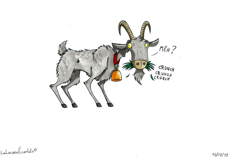 un_bouc_by_erby500_ddbtxd4-fullview.jpg?token=eyJ0eXAiOiJKV1QiLCJhbGciOiJIUzI1NiJ9.eyJzdWIiOiJ1cm46YXBwOjdlMGQxODg5ODIyNjQzNzNhNWYwZDQxNWVhMGQyNmUwIiwiaXNzIjoidXJuOmFwcDo3ZTBkMTg4OTgyMjY0MzczYTVmMGQ0MTVlYTBkMjZlMCIsIm9iaiI6W1t7ImhlaWdodCI6Ijw9NTUwIiwicGF0aCI6IlwvZlwvYWU3MWE0YWMtZjY4Yi00MTgzLThkMTktY2Q0NmQ2ODExYzM5XC9kZGJ0eGQ0LTI3ZmU4MTE1LWU3MTItNGNkNS05ZWEwLTVhNWZmMTFhNTY2Ni5wbmciLCJ3aWR0aCI6Ijw9ODAwIn1dXSwiYXVkIjpbInVybjpzZXJ2aWNlOmltYWdlLm9wZXJhdGlvbnMiXX0.tqEKd6TCzFhKWDXNz_q1ZD7ET4QsD-7zZ-YJZnBaSQo