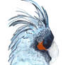 +tropical bird in watercolors+