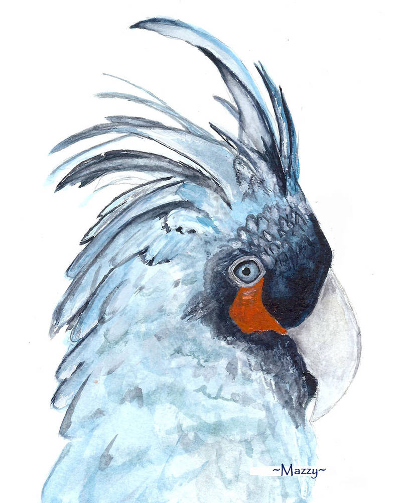 +tropical bird in watercolors+