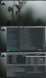 Xubuntu NightWalk