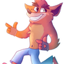 Crash Bandicoot !!