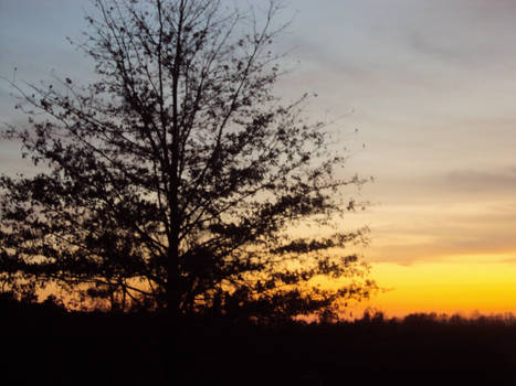 Sunset at the Farm