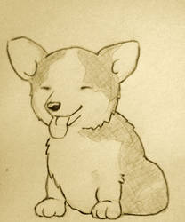 Puppy Sketch