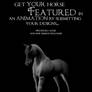 Easy Contest: Featured Horse
