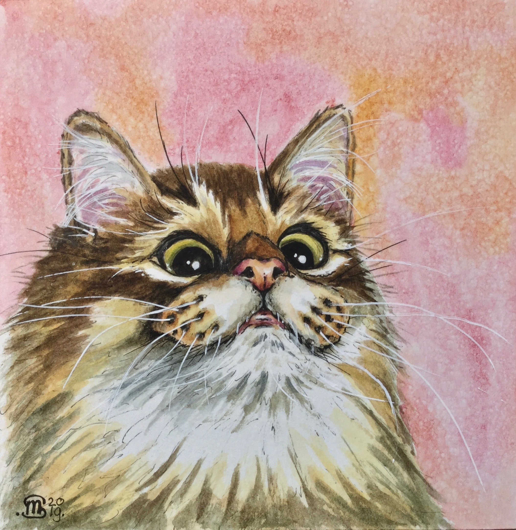 Cat 81