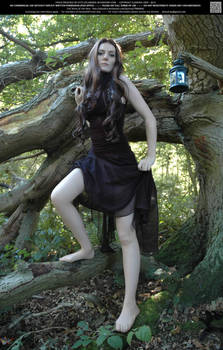 Wood Nymph Ind 19 RESTRICTED