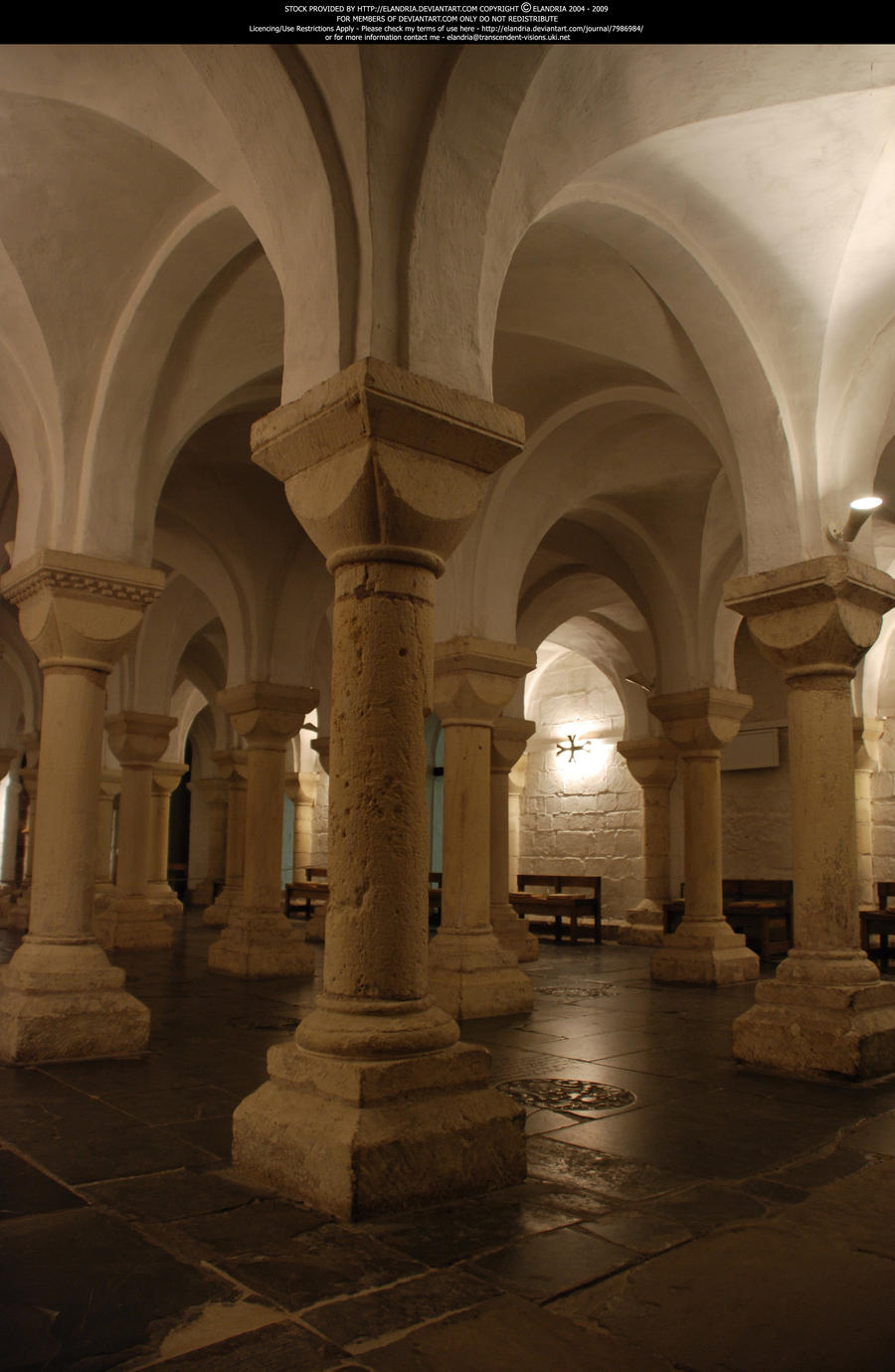 A Forest of Columns 2