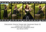 EXCL Stand My Ground Pack 12 by Elandria