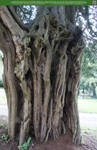 Strange Nature 2 UNRESTRICTED by Elandria