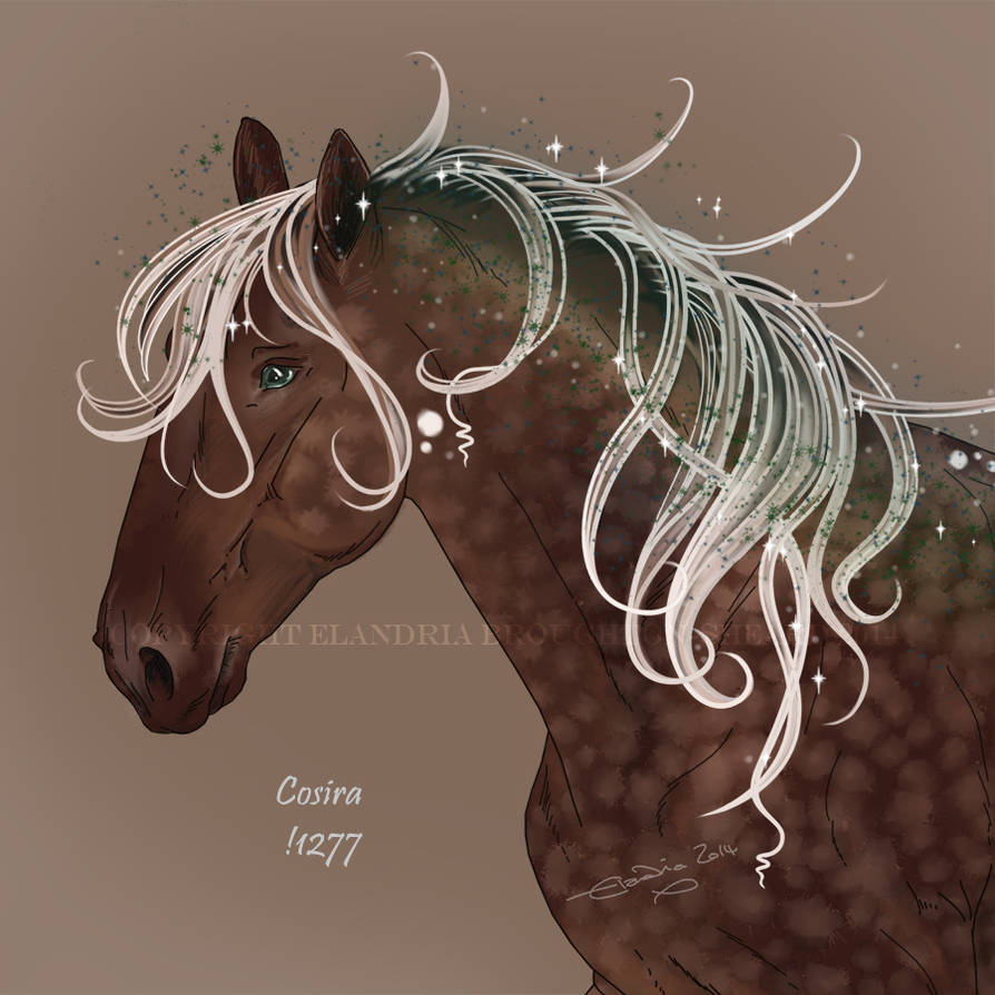 Cosira !1227 by Elandria Cosira !1227 by Elandria
