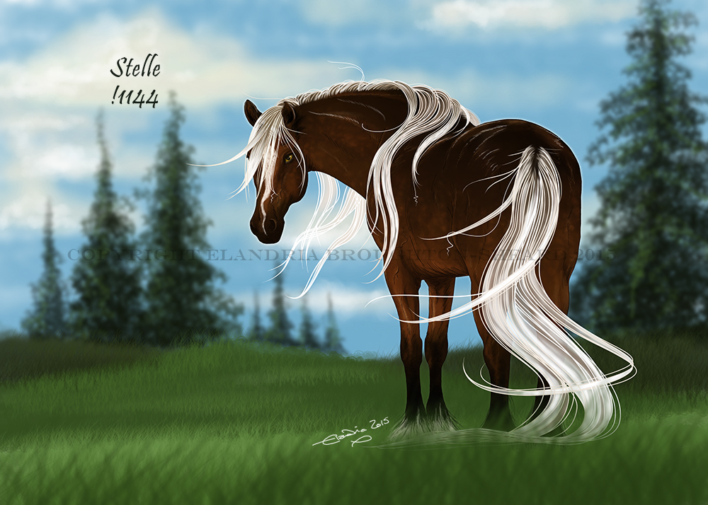 !1144 Stelle by Elandria !1144 Stelle by Elandria