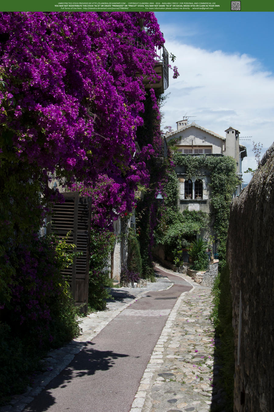 Childhood In Bloom 02 UNRESTRICTED