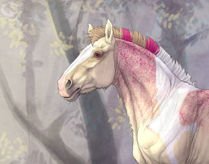 2 By Pacificdash-dcaf8pk by Elandria 2 By Pacificdash-dcaf8pk by Elandria