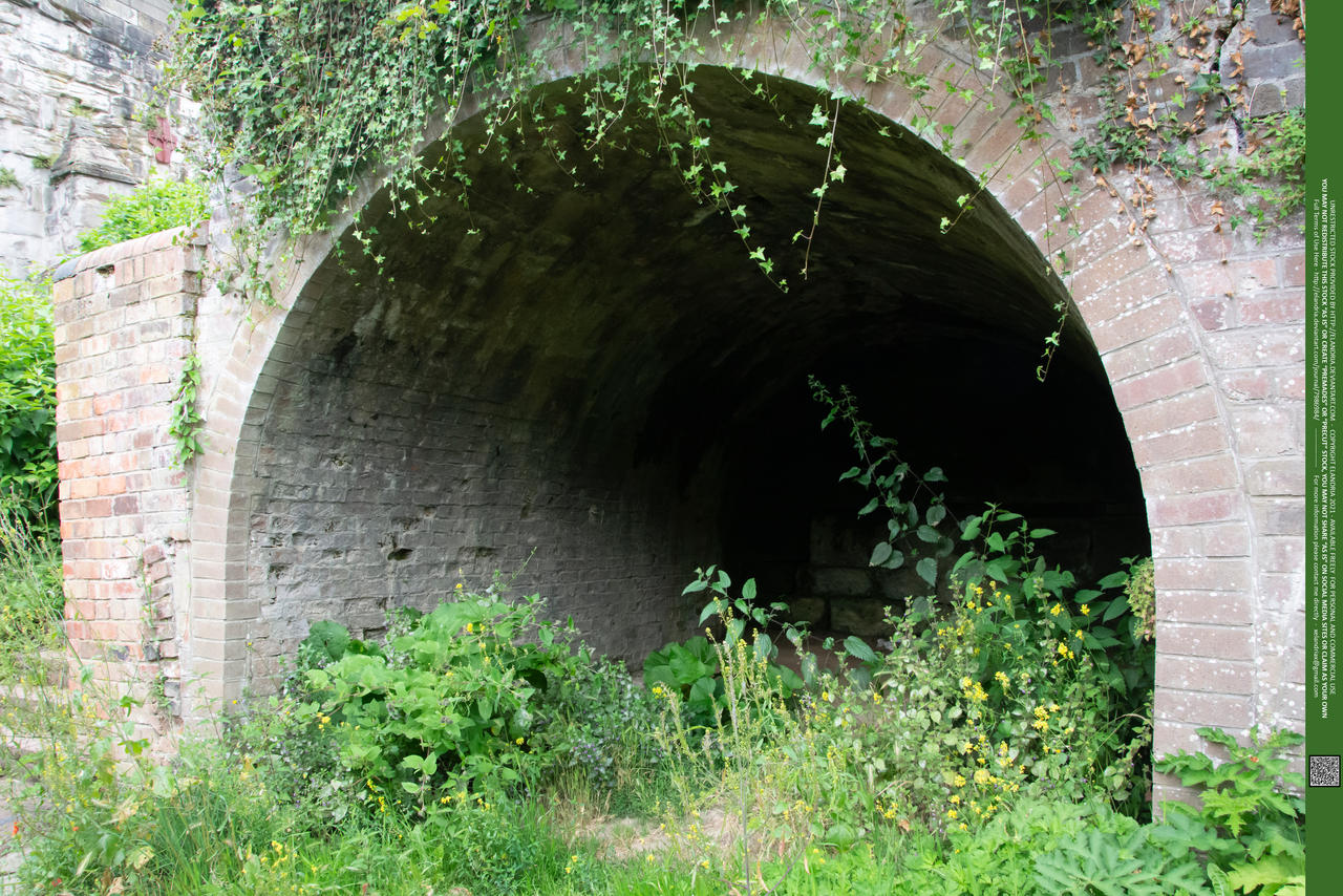 Enter my lair 04 UNRESTRICTED