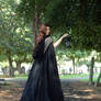 Victorian Ind 4