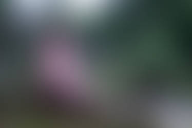 prsaynt User Profile | DeviantArt