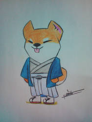 Traditional Doge