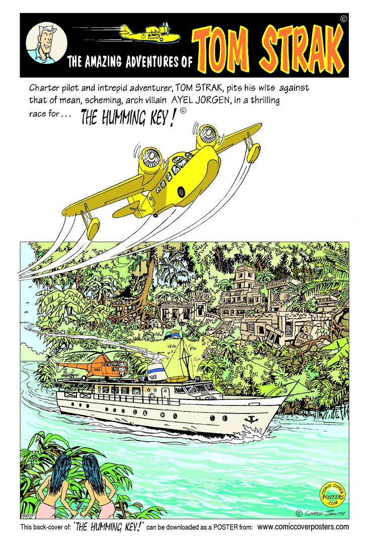 The Humming Key back cover by HeinVDMArtist