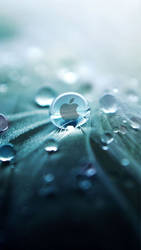 iPhone Background Apple Droplet